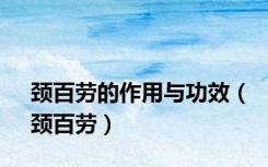 颈百劳的作用与功效（颈百劳）