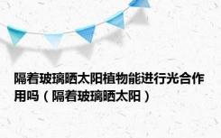 隔着玻璃晒太阳植物能进行光合作用吗（隔着玻璃晒太阳）