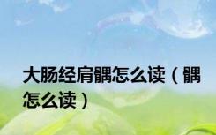 大肠经肩髃怎么读（髃怎么读）