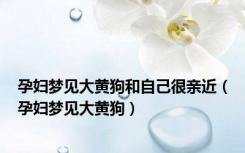孕妇梦见大黄狗和自己很亲近（孕妇梦见大黄狗）