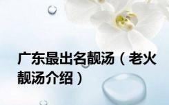 广东最出名靓汤（老火靓汤介绍）