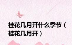 桂花几月开什么季节（桂花几月开）
