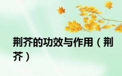 荆芥的功效与作用（荆芥）