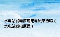 水电站发电原理是电磁感应吗（水电站发电原理）