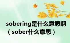 sobering是什么意思啊（sober什么意思）