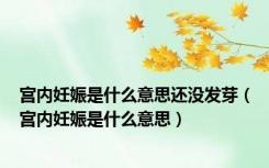 宫内妊娠是什么意思还没发芽（宫内妊娠是什么意思）