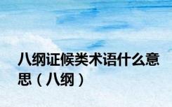八纲证候类术语什么意思（八纲）