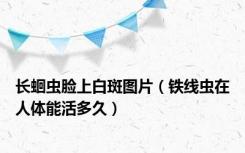 长蛔虫脸上白斑图片（铁线虫在人体能活多久）