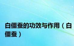 白僵蚕的功效与作用（白僵蚕）
