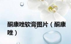 酮康唑软膏图片（酮康唑）
