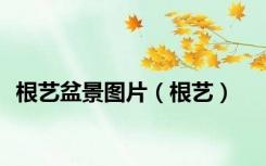 根艺盆景图片（根艺）