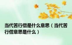 当代苦行僧是什么意思（当代苦行僧意思是什么）
