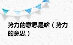 势力的意思是啥（势力的意思）