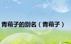 青葙子的别名（青葙子）