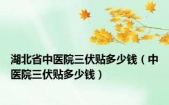 湖北省中医院三伏贴多少钱（中医院三伏贴多少钱）