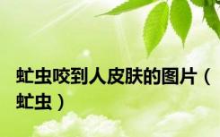 虻虫咬到人皮肤的图片（虻虫）