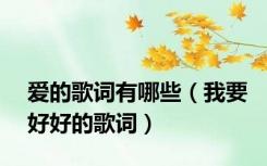 爱的歌词有哪些（我要好好的歌词）
