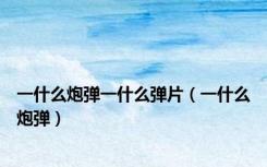 一什么炮弹一什么弹片（一什么炮弹）