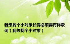 我想找个小对象长得必须要有样歌词（我想找个小对象）