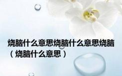 烧脑什么意思烧脑什么意思烧脑（烧脑什么意思）