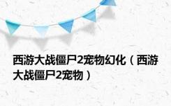 西游大战僵尸2宠物幻化（西游大战僵尸2宠物）