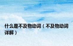 什么是不及物动词（不及物动词详解）
