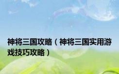 神将三国攻略（神将三国实用游戏技巧攻略）