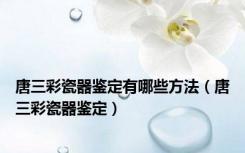 唐三彩瓷器鉴定有哪些方法（唐三彩瓷器鉴定）