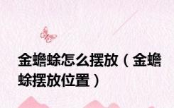 金蟾蜍怎么摆放（金蟾蜍摆放位置）