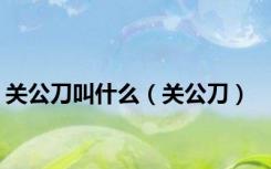 关公刀叫什么（关公刀）