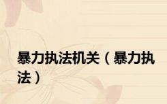 暴力执法机关（暴力执法）