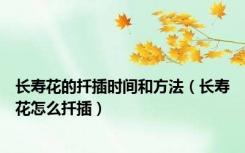 长寿花的扦插时间和方法（长寿花怎么扦插）