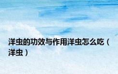 洋虫的功效与作用洋虫怎么吃（洋虫）