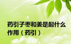 药引子枣和姜是起什么作用（药引）