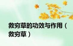 救穷草的功效与作用（救穷草）