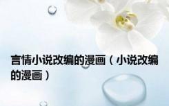 言情小说改编的漫画（小说改编的漫画）