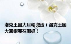 洛克王国大耳帽兜蛋（洛克王国大耳帽兜在哪抓）