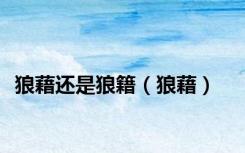 狼藉还是狼籍（狼藉）