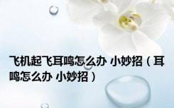 飞机起飞耳鸣怎么办 小妙招（耳鸣怎么办 小妙招）