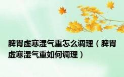 脾胃虚寒湿气重怎么调理（脾胃虚寒湿气重如何调理）