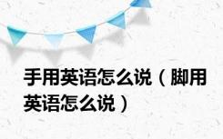 手用英语怎么说（脚用英语怎么说）