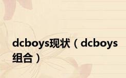 dcboys现状（dcboys组合）