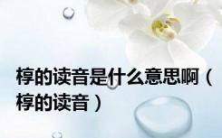 椁的读音是什么意思啊（椁的读音）