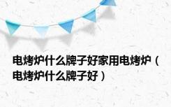 电烤炉什么牌子好家用电烤炉（电烤炉什么牌子好）