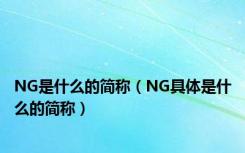 NG是什么的简称（NG具体是什么的简称）