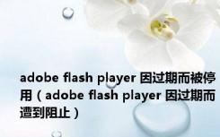 adobe flash player 因过期而被停用（adobe flash player 因过期而遭到阻止）