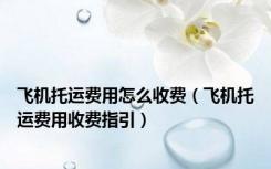 飞机托运费用怎么收费（飞机托运费用收费指引）