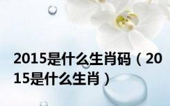 2015是什么生肖码（2015是什么生肖）