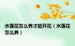 水莲花怎么养才能开花（水莲花怎么养）