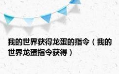 我的世界获得龙蛋的指令（我的世界龙蛋指令获得）